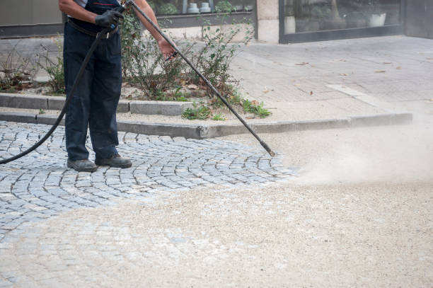 Best Pre-Holiday Cleaning  in Elkhart, TX